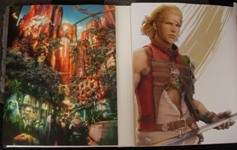 Solution Final Fantasy XII Edition Collector Gamestop