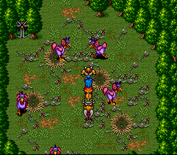 Breath of Fire en 100 captures