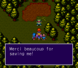 Breath of Fire II en 100 captures