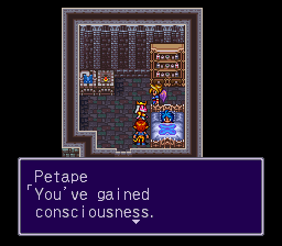 Breath of Fire II en 100 captures