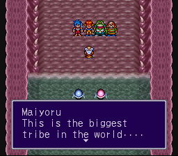 Breath of Fire II en 100 captures