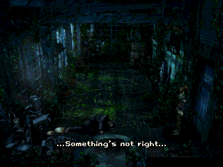 Koudelka en 50 captures