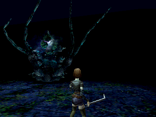 Koudelka en 50 captures