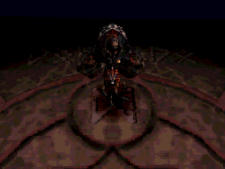 Koudelka en 50 captures