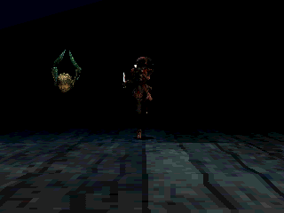 Koudelka en 50 captures