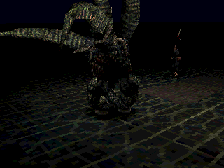 Koudelka en 50 captures