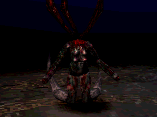 Koudelka en 50 captures