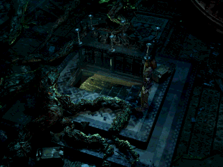 Koudelka en 50 captures