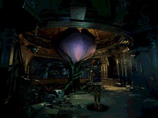 Koudelka en 50 captures