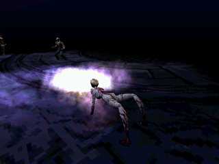 Koudelka en 50 captures