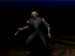 Koudelka en 50 captures