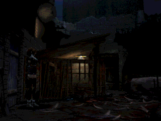 Koudelka en 50 captures